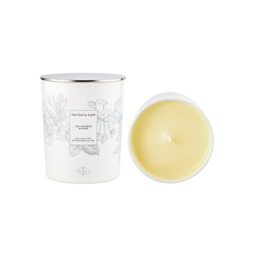 Les Mimosas D'Hiver Candle