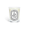 Classic Candle Cannelle