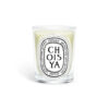 Classic Candle Choisya