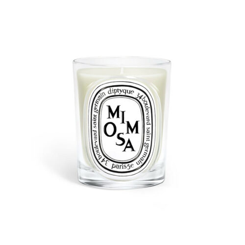 Classic Candle Mimosa