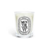 Classic Candle Menthe Verte Classic Candle Menthe Verte