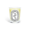 Classic Candle Citronnelle (Lemongrass)