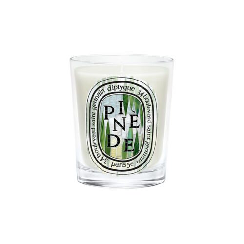 Pinède (Pine Grove) - Classic Candle