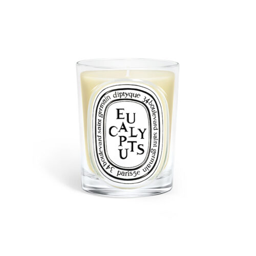 Classic Candle Eucalyptus